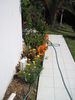 Filename=IMG_0873.JPG
Filesize=644KB
Dimensions=1200x1600
Date added=Apr 11, 2011 IMG_0873.JPG