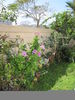Filename=IMG_0875.JPG
Filesize=778KB
Dimensions=1200x1600
Date added=Apr 11, 2011 IMG_0875.JPG