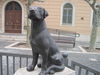 Filename=IMG_1555.JPG
Filesize=562KB
Dimensions=1600x1200
Date added=Apr 02, 2012 IMG_1555.JPG