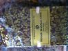 Filename=29-05-13-Indian-Tea.jpg
Filesize=401KB
Dimensions=2592x1936
Date added=May 29, 2013 29-05-13-Indian-Tea.jpg